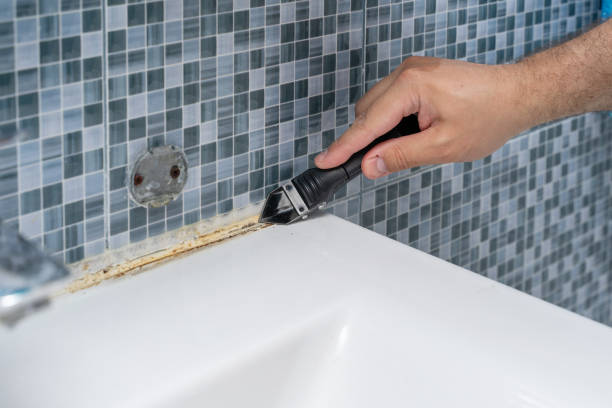 Fort Sumner, NM Mold Removal Company
