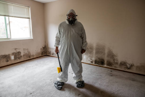 Best Mold Damage Repair  in Fort Sumner, NM